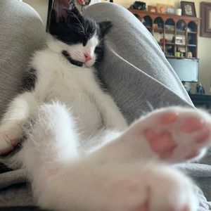 Meet your Posher, Liv